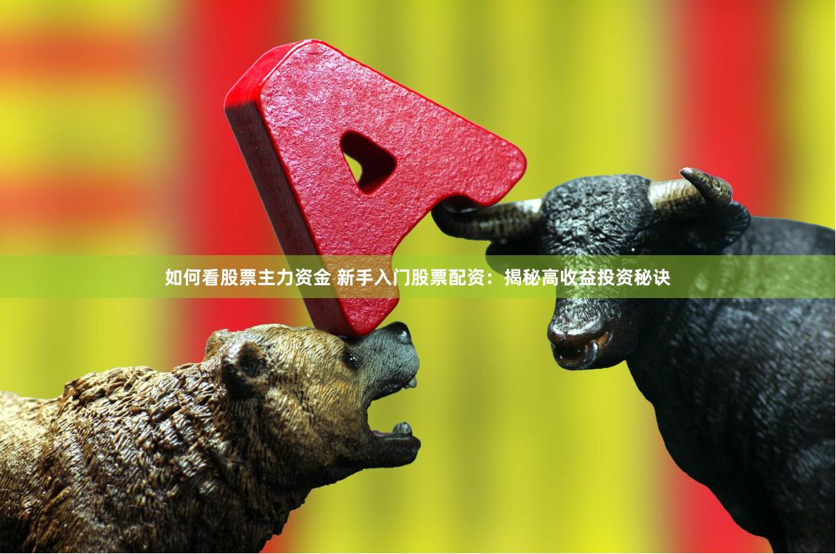 如何看股票主力资金 新手入门股票配资：揭秘高收益投资秘诀