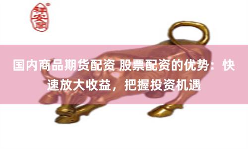 国内商品期货配资 股票配资的优势：快速放大收益，把握投资机遇