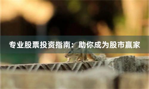 专业股票投资指南：助你成为股市赢家