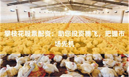 攀枝花股票配资：助您投资腾飞，把握市场先机